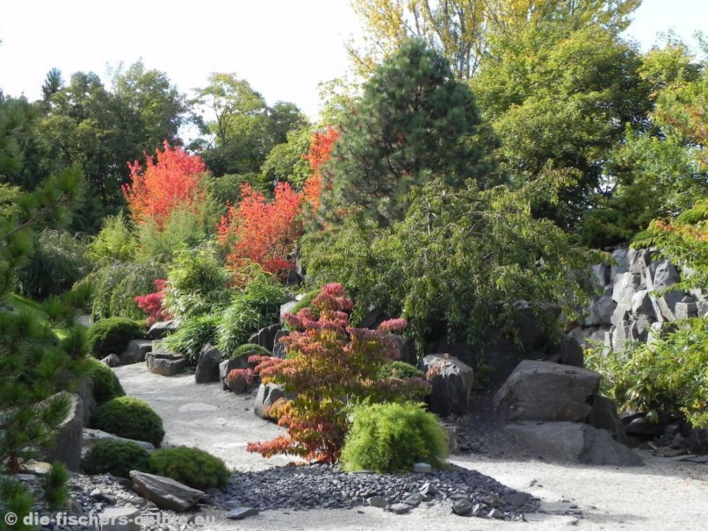 Japanischer Garten im Herbst
