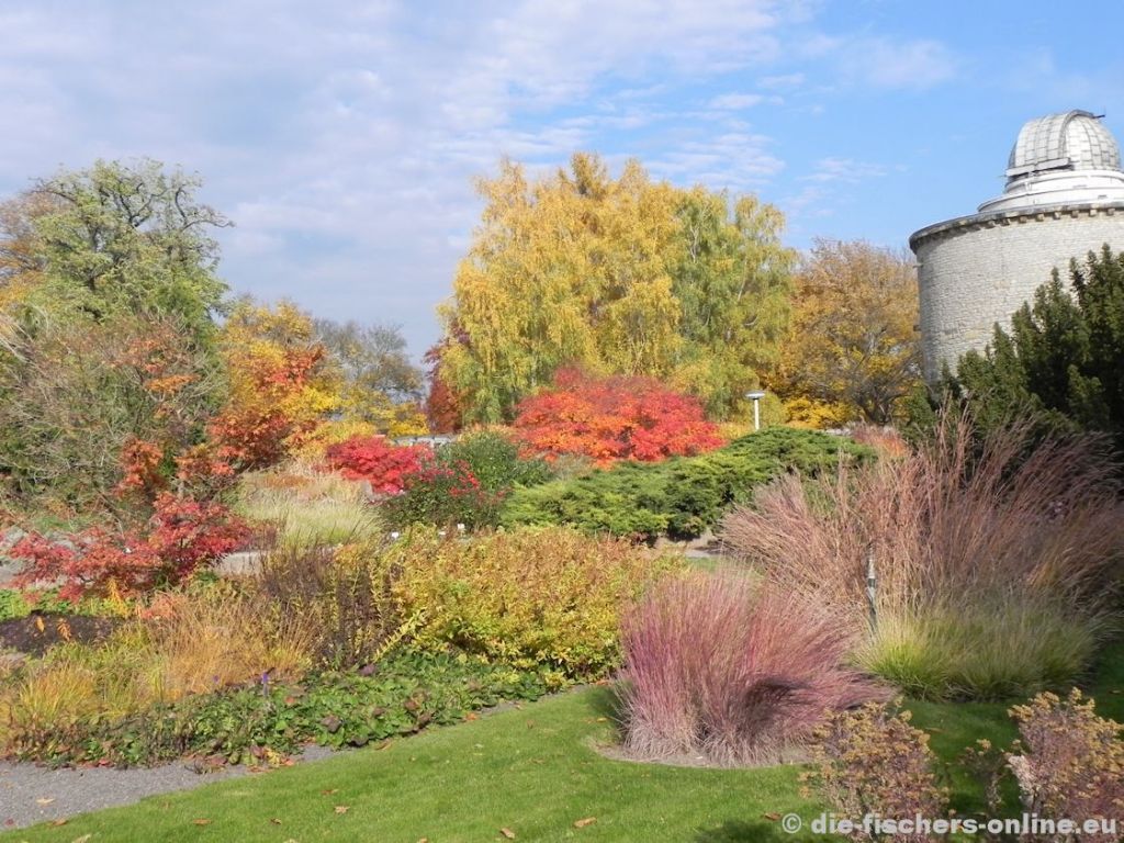 Gräsergarten im Herbst
