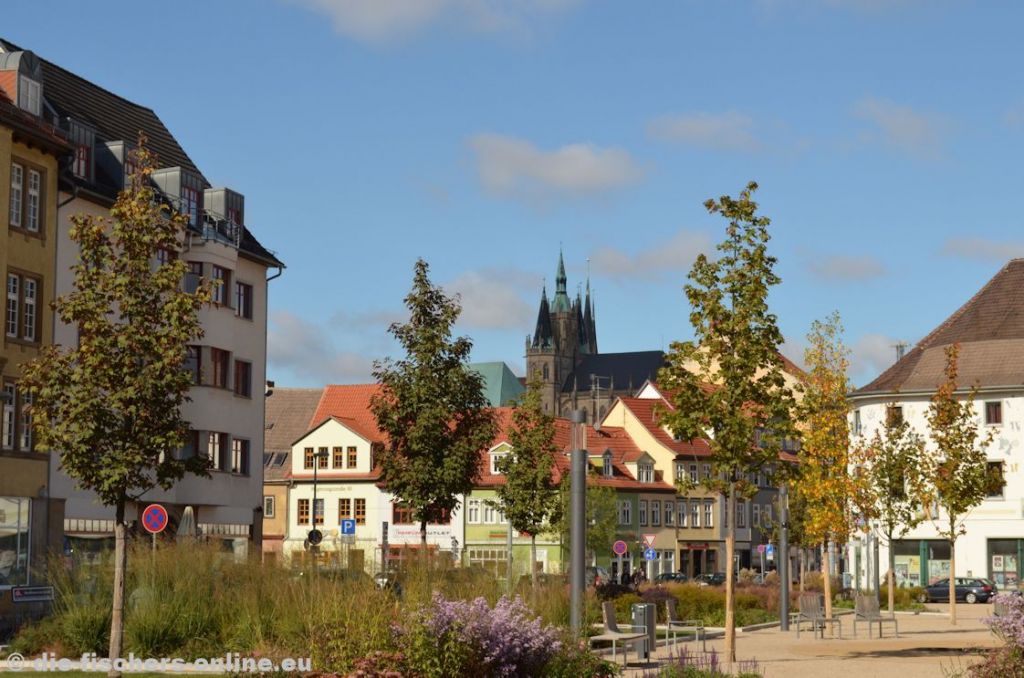 Hirschgarten
Heute ist der Bereich zu einem Park mit Spielplatz umgestaltet worden, wobei sich der Stadtrat dem Bürgerbegehren unterordnen musste. Im Hintergrund der Dom.
