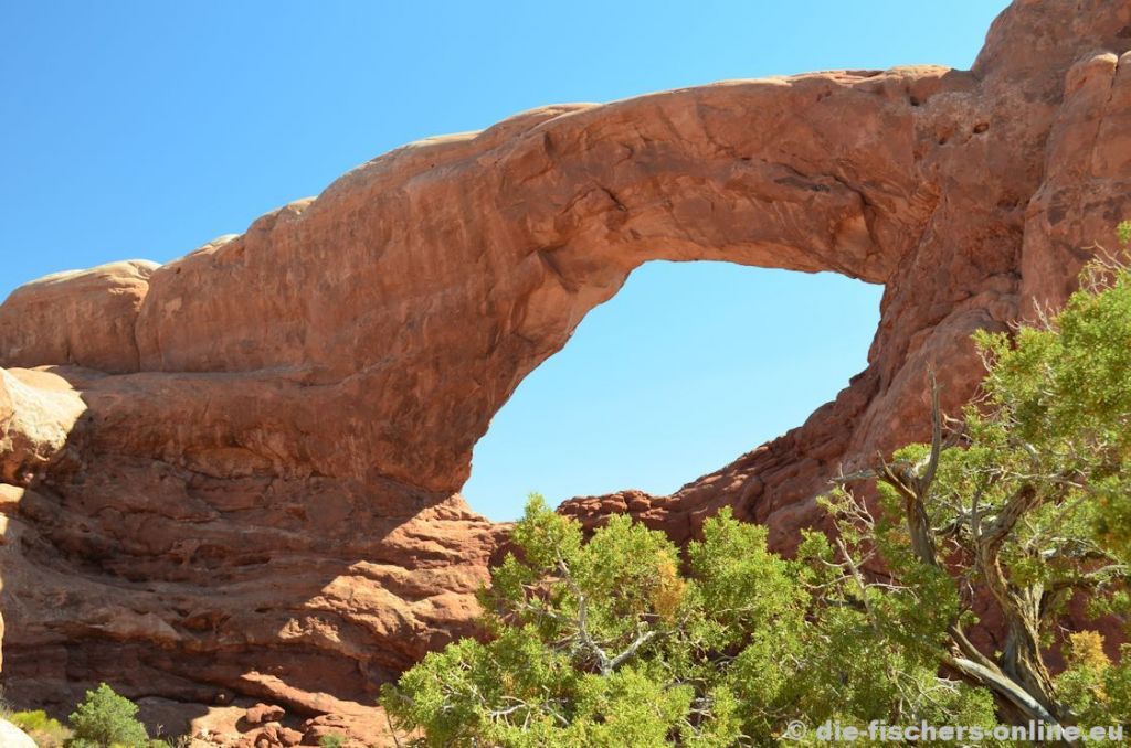 Arches: South Window
Die Steinbögen sind alle auf natÃ¼rlichem Wege entstanden - im Wesentlichen aus den EinflÃ¼ssen von Wind und Wetter (jedoch ohne die Hilfe von fließendem Wasser!). Die Bögen bestehen aus Kalkstein bzw auch aus Sandstein.
