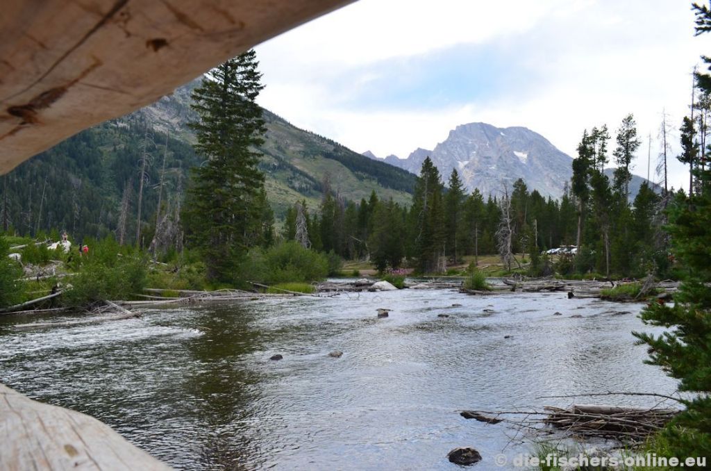 Grand Teton Nationalpark
Dieser Nationalpark befindet sich im Bundesstaat Wyoming und hat eine große Ähnlichkeit mit den europäischen Alpen. Schneebedeckte Berge, Gletscher und karge Vegetation in den Höhen sind auch hier vorzufinden. Auch die Flora und Fauna ist vergleichbar...
Wir wanderten etwa 1,5 Stunden am Ufer des Jenny Lakes zum Visitor Center.
