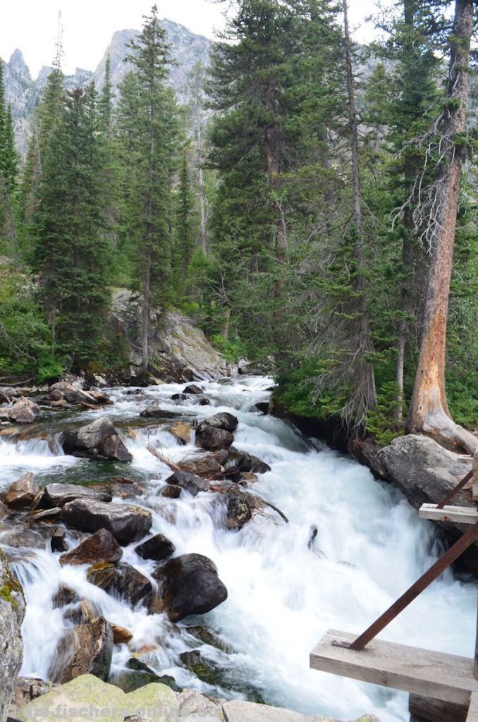Grand Teton Nationalpark
Der Cascade Creek kurz vor der Einmündung in den Jenny Lake. Der Name des kleinen Flusses (eigentlich dem Namen nach ein Bach...), stammt von den kaskadierten Wasserfällen (Hidden Falls), ca. 2 km flussaufwärts.
