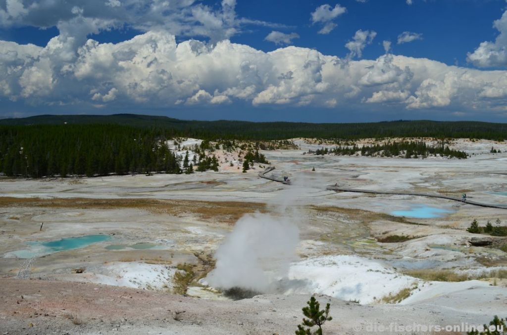 Yellowstone: Porcelain Basin
Dieses Gebiet liegt im Noris Geyser Basin und zählt mit zu den heißesten und geothermal am aktivsten Landstrichen im Nationalpark. Aus diesem Grund ist die Vegetation sehr karg.
