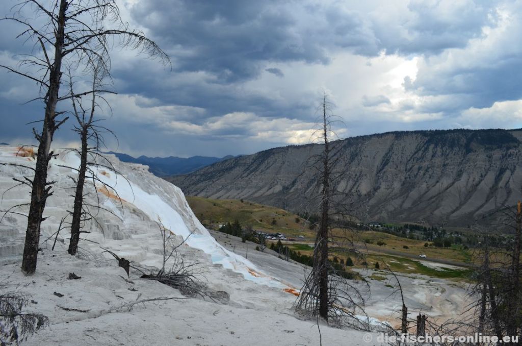 Yellowstone: Canary Springs
Dieser Bereich ist eine von vielen sehenswerten Terrassen. Der Name kommt von der leicht gelben Verfärbung (welche durch Bakterien verursacht wird). 
