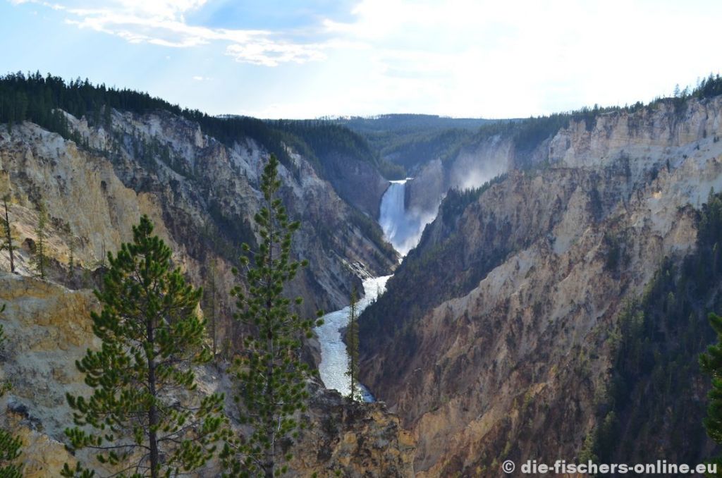 Yellowstone: Lower Falls
...sieht das nicht wie gemalt aus? Der Yellowstone River, welcher dem Park den Namen gab, fällt ca. 94 Meter in die Tiefe. Nicht umsonst heißt dieser Teil Grand Canyon of Yellowstone.
