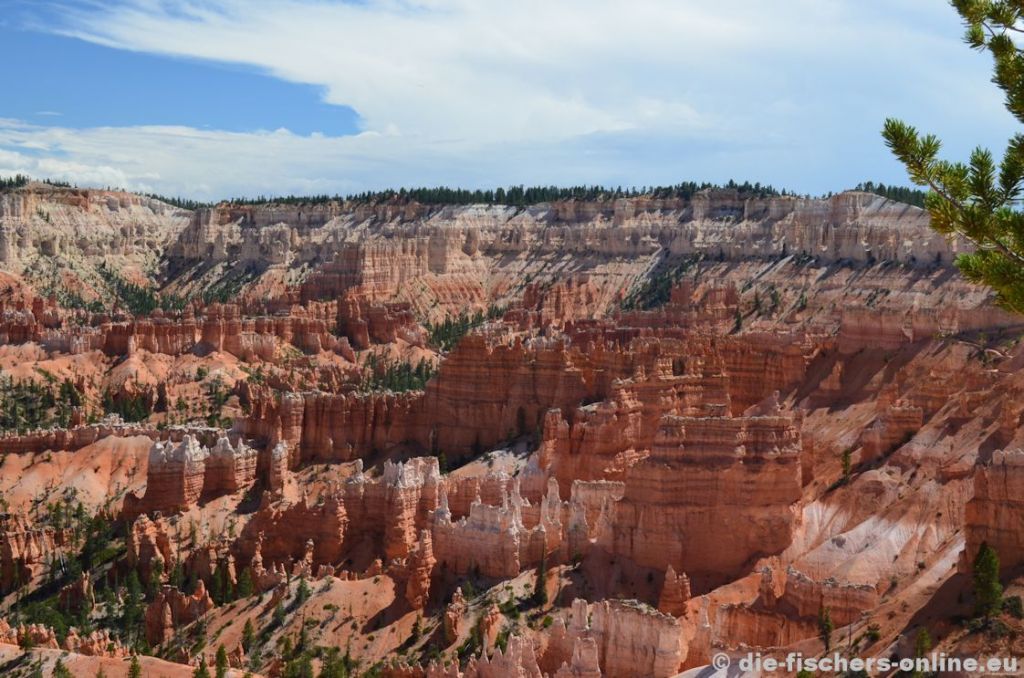 Bryce Canyon: Blick in das Amphitheater
Vom Bryce Point (2.529 m) aus hat man einen wunderbaren Blick in das Amphitheater. Die charakteristischen Felsnadeln bestehen aus Sandstein und werden als Hoodoos bezeichnet.
