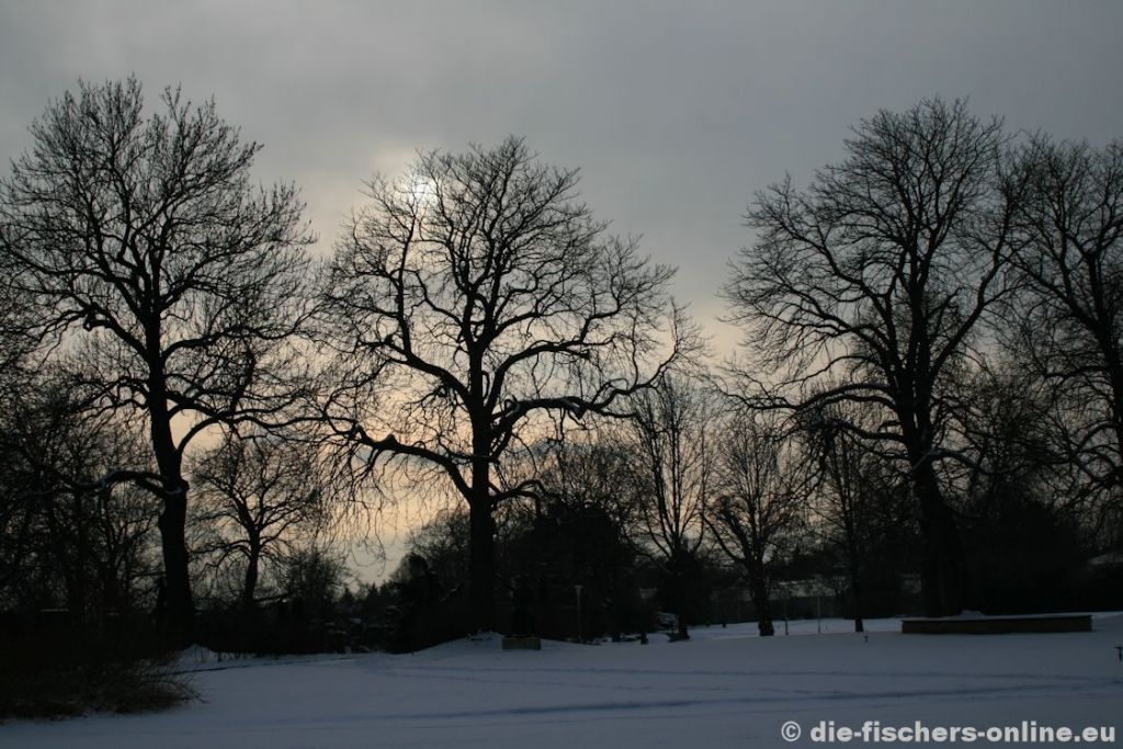 Kastanien am Aussichtsturm
