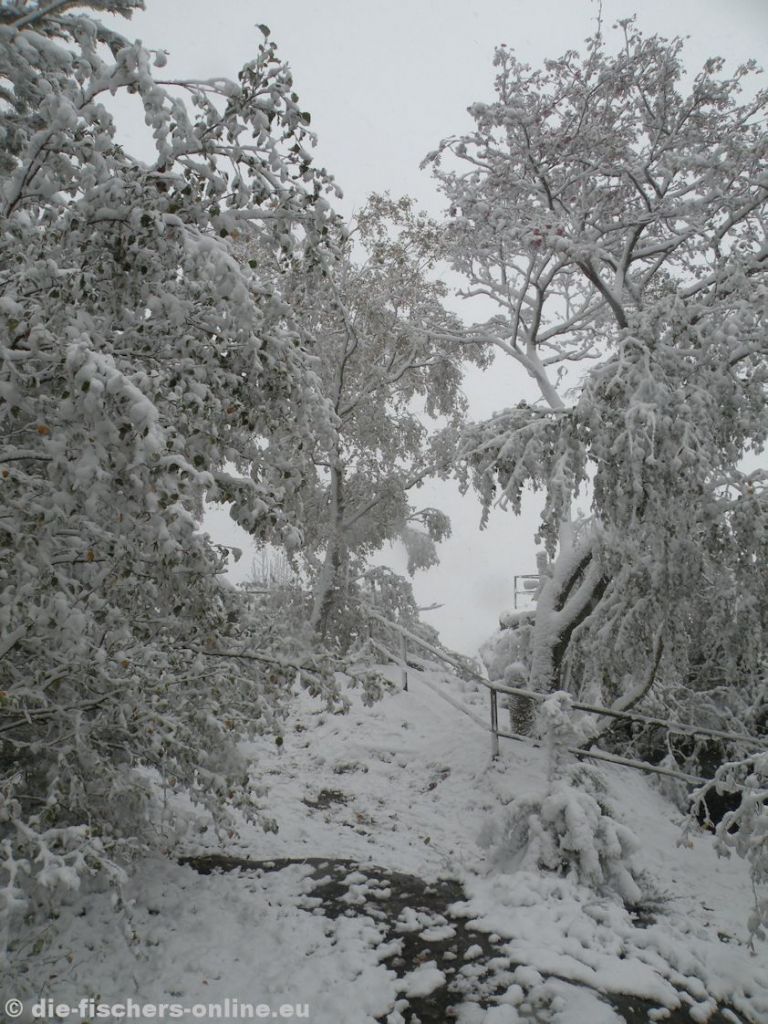 Winterlandschaft auf dem Papststein
