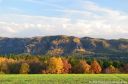 Affenst_DSC_6150.jpg