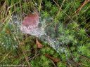 DSCN0780.jpg