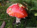 DSCN0860.jpg