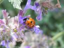 DSCN0909.jpg