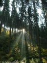 DSCN1055.jpg