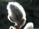 DSCN3717.jpg