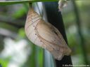 DSCN3743.jpg