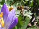 DSCN3806.jpg