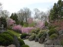 DSCN4378.jpg