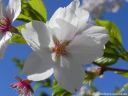 DSCN4685.jpg
