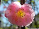 DSCN4725.jpg