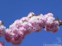 DSCN5110.jpg