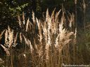 DSCN6939.jpg