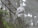 DSCN7200.jpg