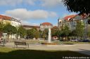 DSC_0426.jpg