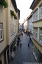 DSC_0571.jpg