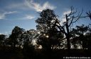 DSC_2775_2770.jpg