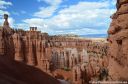 DSC_3535.jpg