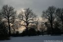 IMG_9747.jpg